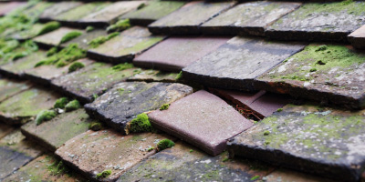 Grassendale roof repair costs